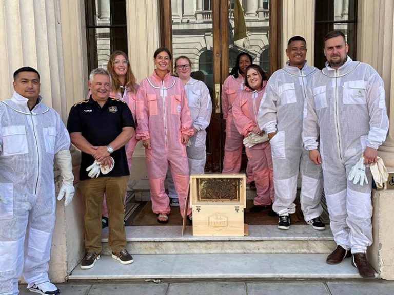 Bee1 Sends 20,000 Welsh Bees to London’s Pall Mall
