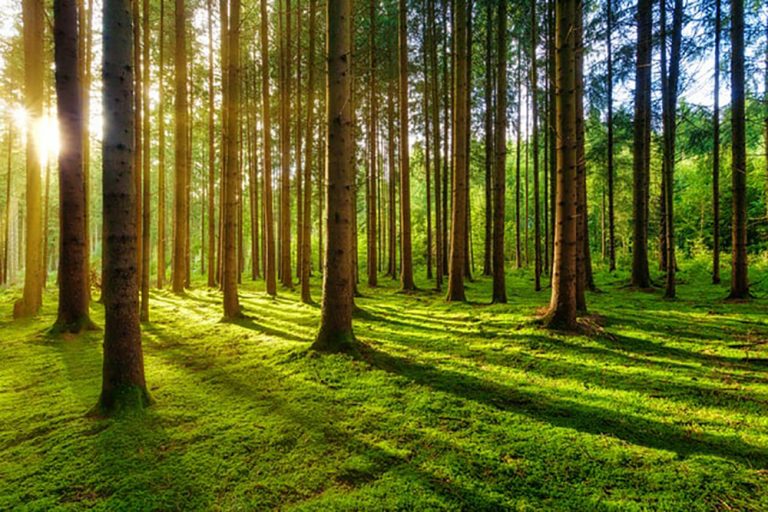 Sustainability is the word at Eden Utilities