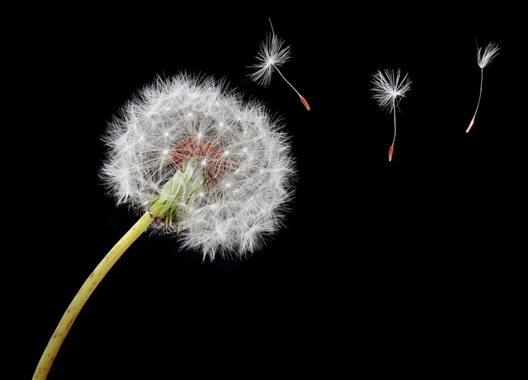 Launching your new product can be more of a finance boost than you think