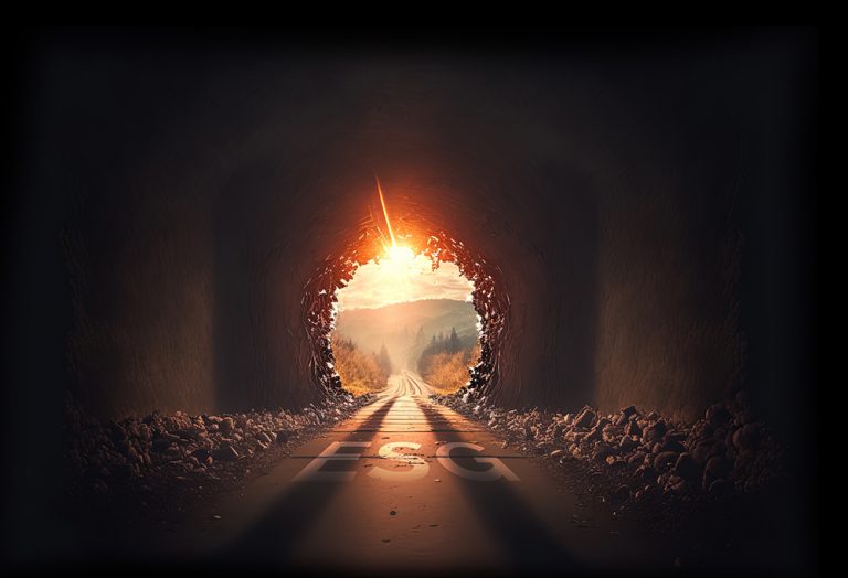 The road ahead for ESG