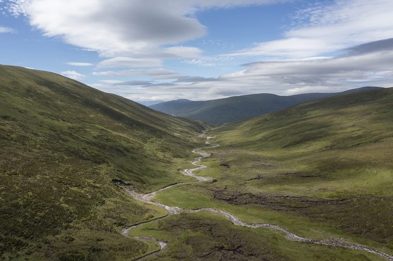 Durrell charity reveals major Scottish rewilding project