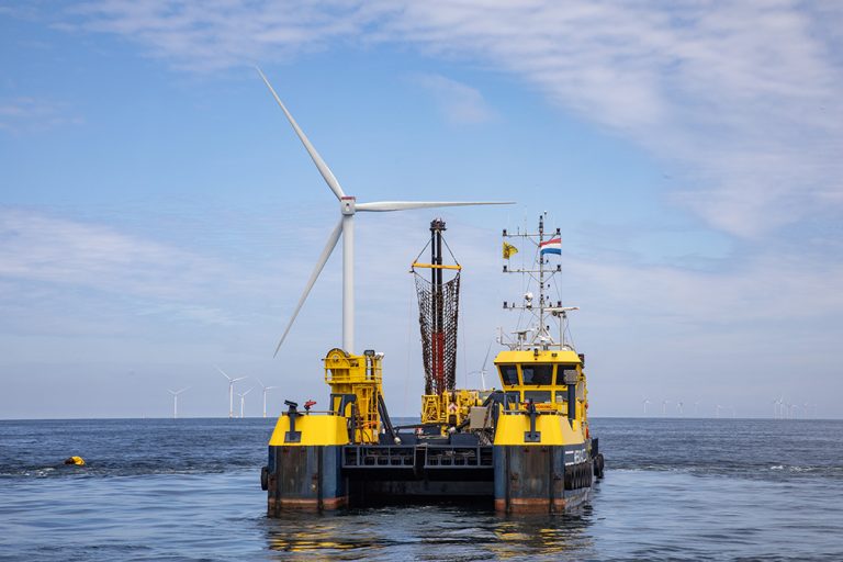 First harvest for unique North Sea seaweed farm