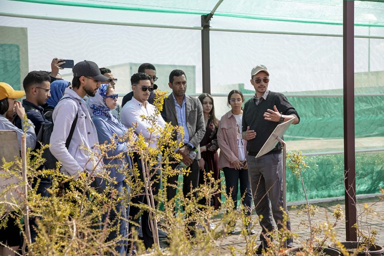 Beyond borders: African agritech could strengthen UK farming