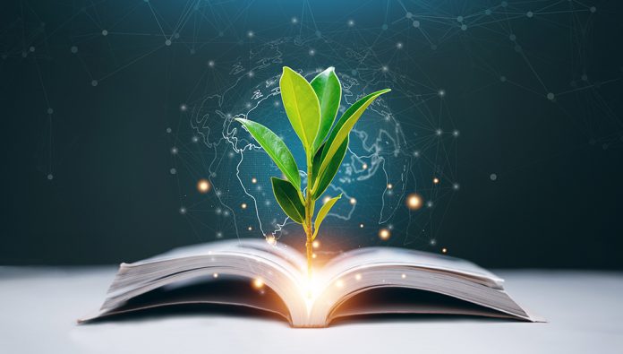 Creative for sustainable knowledge and education concept. A green plant sprouting from an open book. Symbolizing growth, learning, eco future and innovation with digital technology.