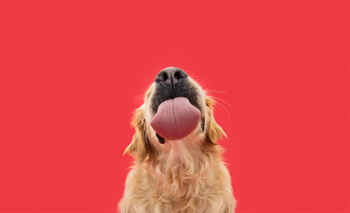 AdobeStock_593950680