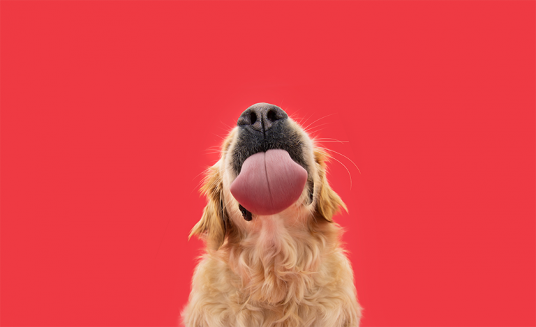 Lab grown meat: cleaner, kinder, greener?