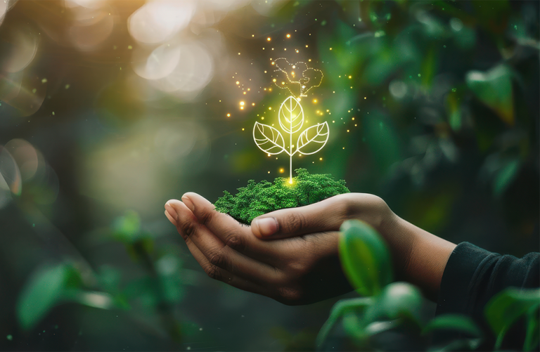 Start-ups will lead the race to net zero – here’s what they need to succeed