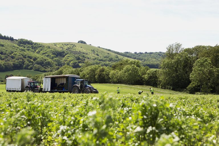 Green economy ‘thriving’ in National Parks