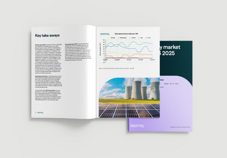 Wind and solar power hit renewable electricity record