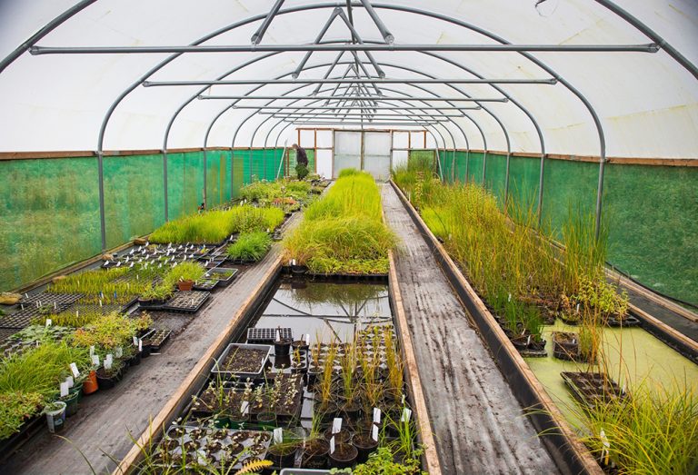 Renewed partnership commits to long term  restoration of Nosterfield Quarry