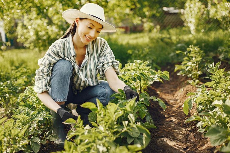 From fields to microgrids: rethinking local energy