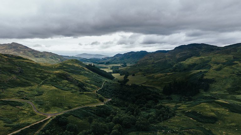Could ‘just planting more trees’ be bad for the environment?