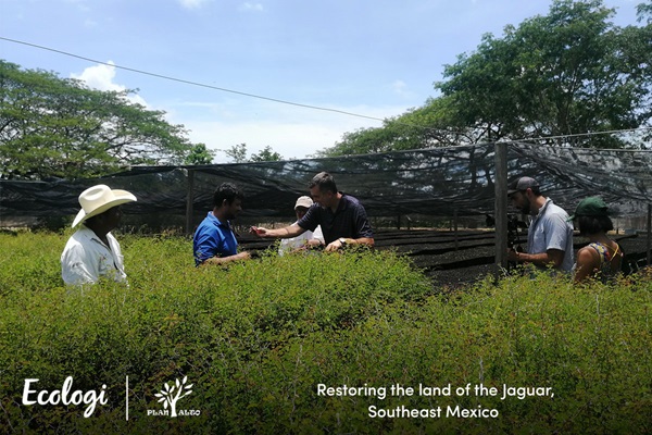 Restoration ecologists from egologi working with the local community in South East Mexico